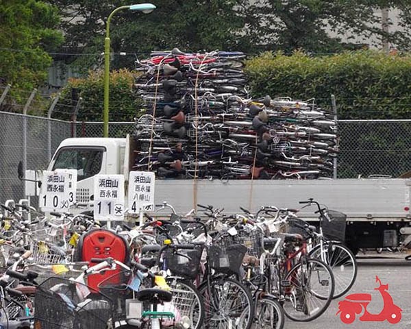 mua xe đạp Nhật 