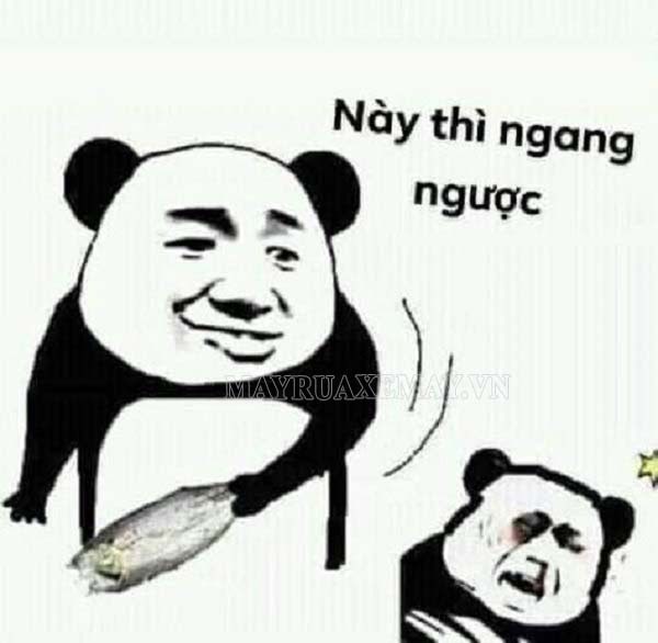  panda meme