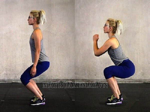 workout tập squat