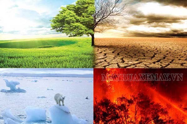  biến đổi khí hậu