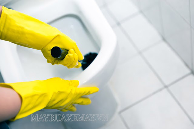 Lưu ý lau dọn nhà vệ sinh thường xuyên để tránh vi khuẩn sinh sôi nảy nở, gây mùi trở lại
