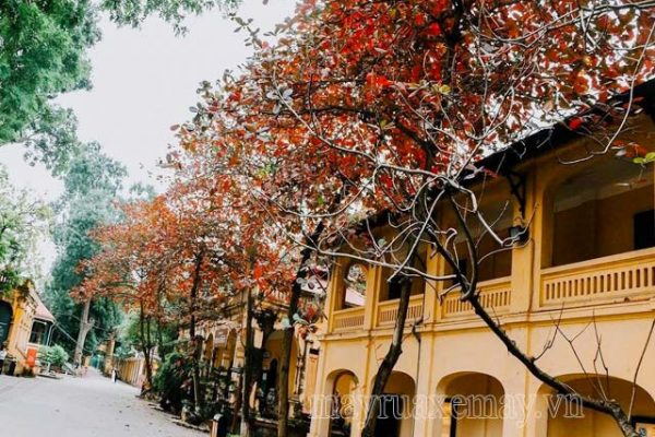 Top 10 thành phố đẹp nhất Việt Nam bạn nên một lần ghé thăm
